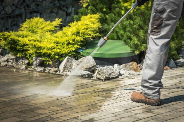 Best Solar Panel Cleaning  in Weed, CA